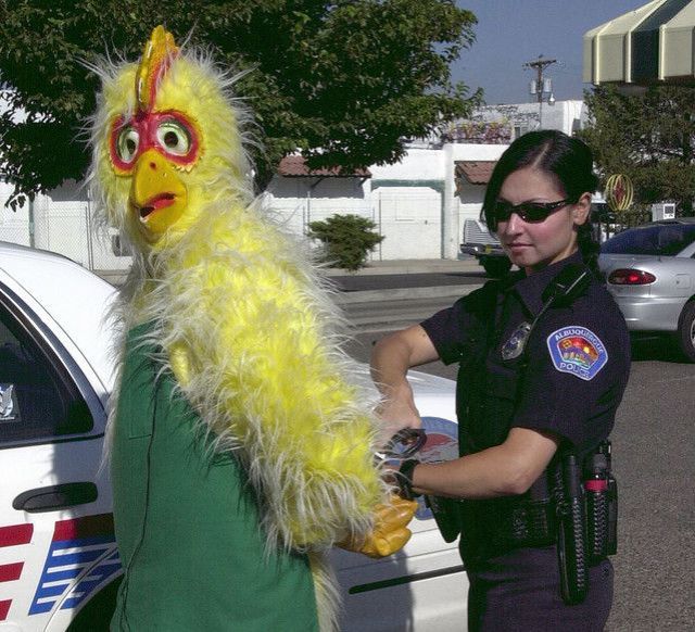 people-are-strange-man-dressed-as-chicken-getting-arrested.jpg