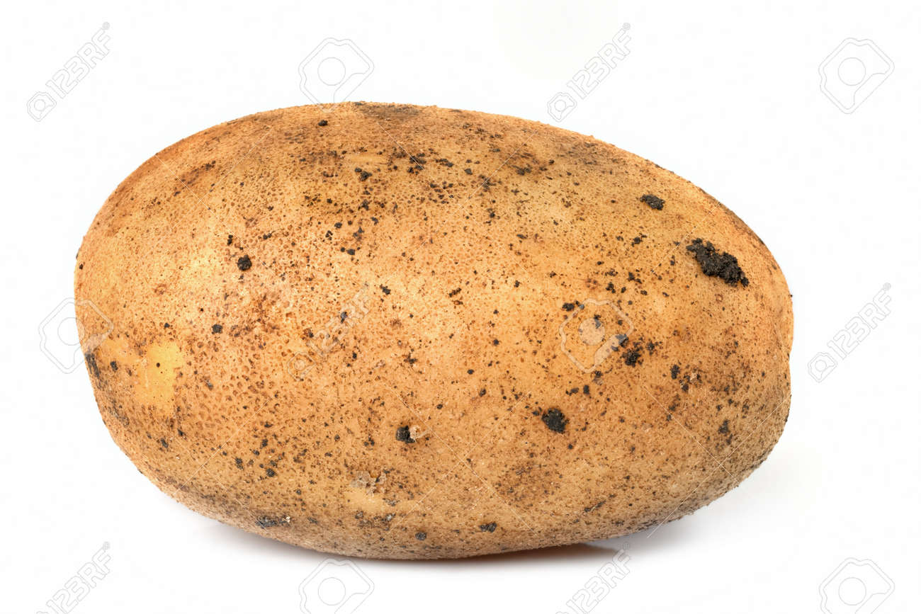 5747069-Single-large-raw-potato-isolated-on-white-Perfect-for-baking--Stock-Photo.jpg